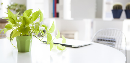 栄養講習会 栄養講習会