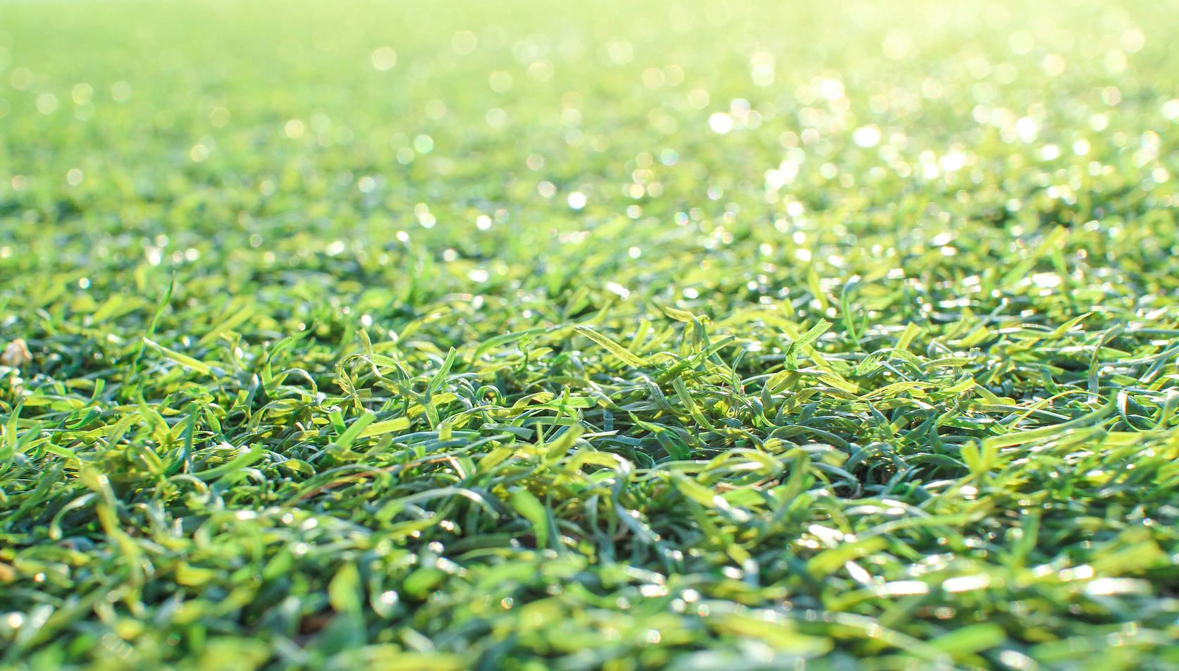 Health problems Health problems